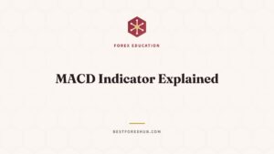 MACD Indicator Explained: A Complete Guide for Forex Beginners